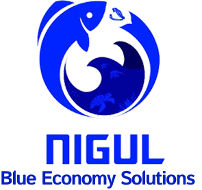 nlogo1